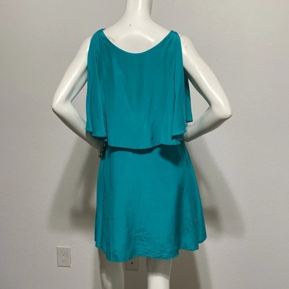 Annie Griffin Silk Mini Dress - Picture 3 of 5